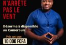 Cyrille BOJIKO, l’audace d’entreprendre