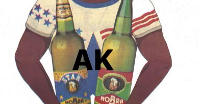 𝐍𝐎𝐁𝐑𝐀 : 𝐥’𝐚𝐬𝐜𝐞𝐧𝐬𝐢𝐨𝐧 𝐞𝐭 𝐥𝐚 𝐜𝐡𝐮𝐭𝐞 𝐝’𝐮𝐧 𝐫𝐞̂𝐯𝐞 𝐢𝐧𝐝𝐮𝐬𝐭𝐫𝐢𝐞𝐥 𝐜𝐚𝐦𝐞𝐫𝐨𝐮𝐧𝐚𝐢𝐬